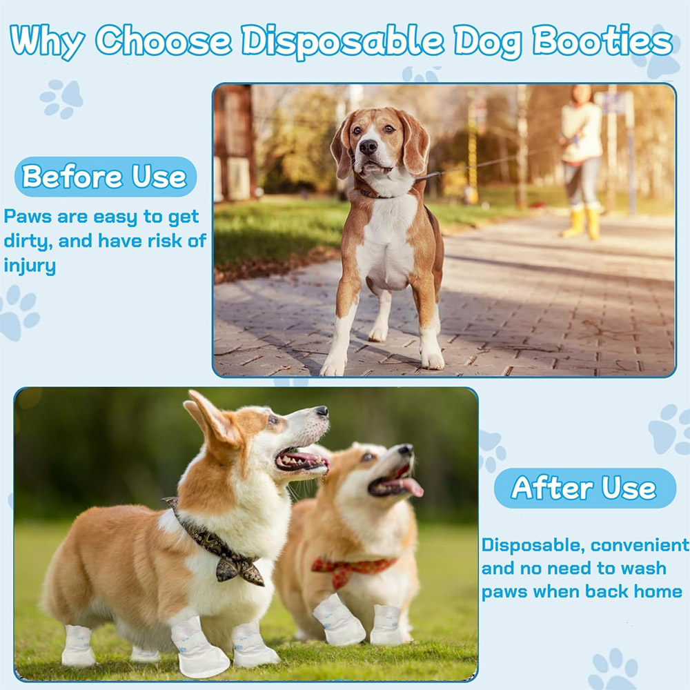20/40PCS Pet Disposable Paw Sh - Dust Shoe Cnc review and price
