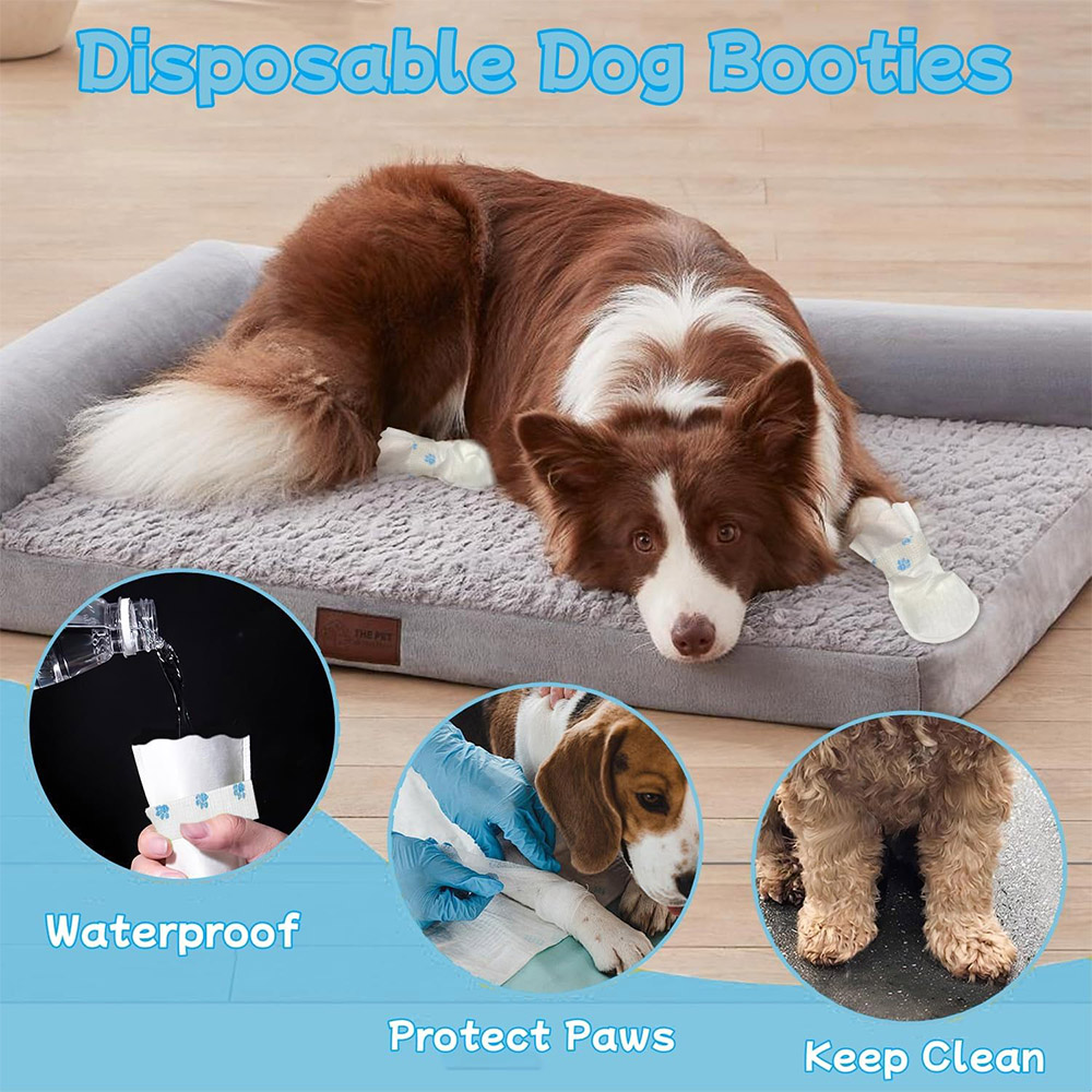 20/40PCS Pet Disposable Paw Sh - Dust Shoe Cnc review and price