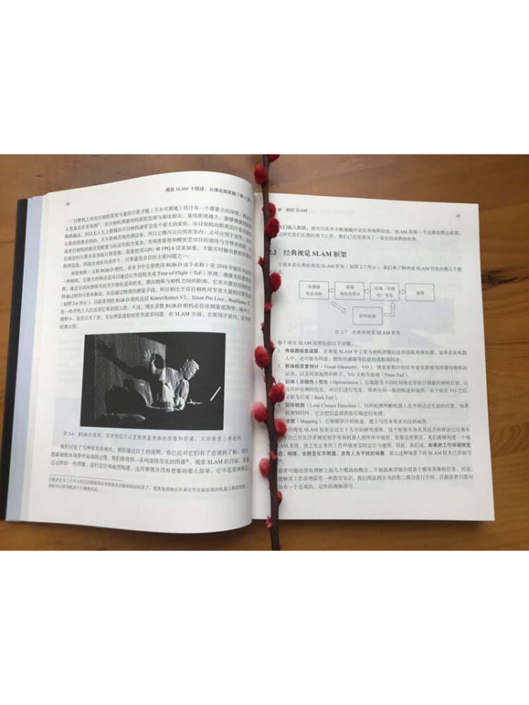 Book-Winshare Fourteen Lecture - Industrial Visual review and price